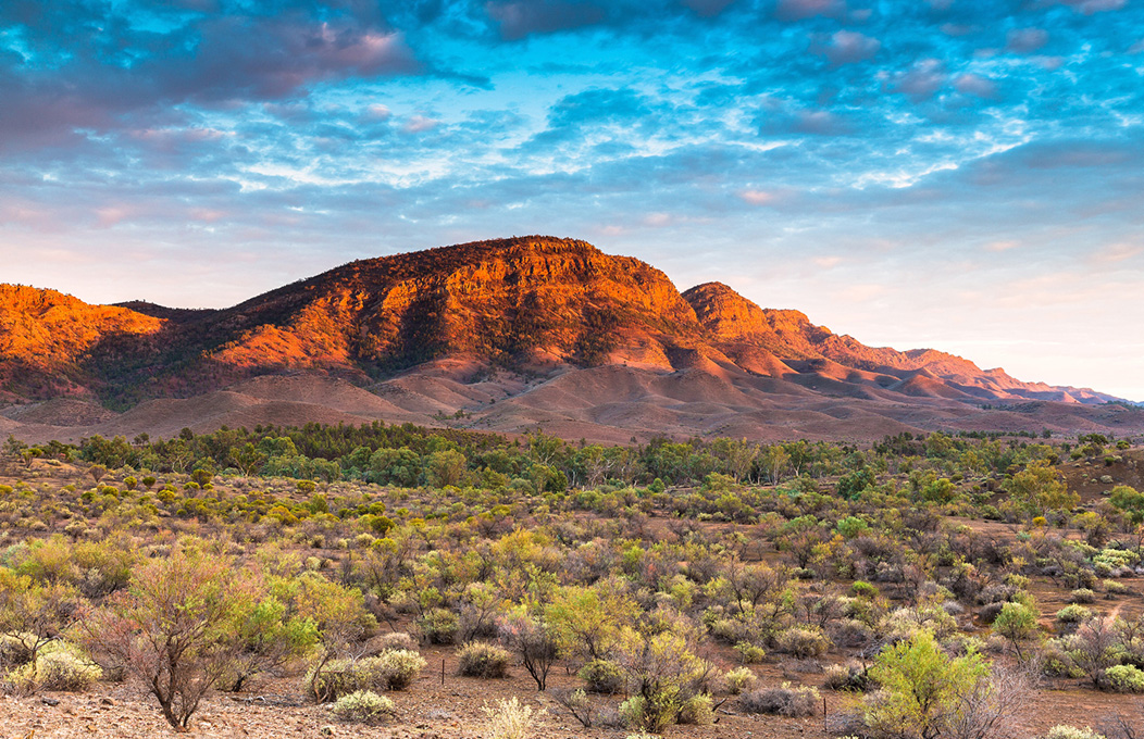 Mount Chambers, Flinders Ranges & Outback