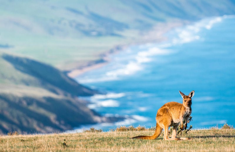 Deep Creek Conservation Park, Fleurieu Peninsula