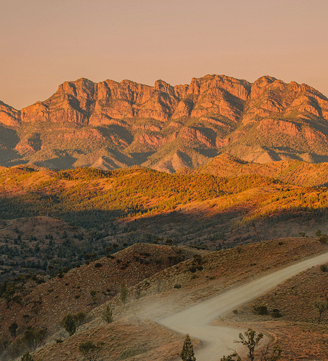 Flinders Ranges & Outback