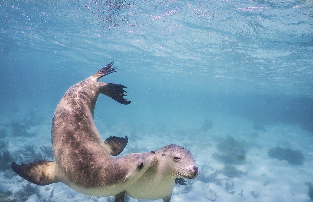 Ein Routenvorschlag für drei Tage auf der Eyre Peninsula