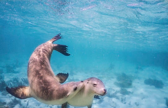 Ein Routenvorschlag für drei Tage auf der Eyre Peninsula