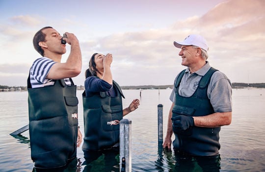 Die Top-10 Erlebnisse auf der Eyre Peninsula