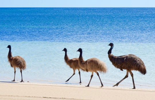 Coffin Bay National Park, Eyre Peninsula