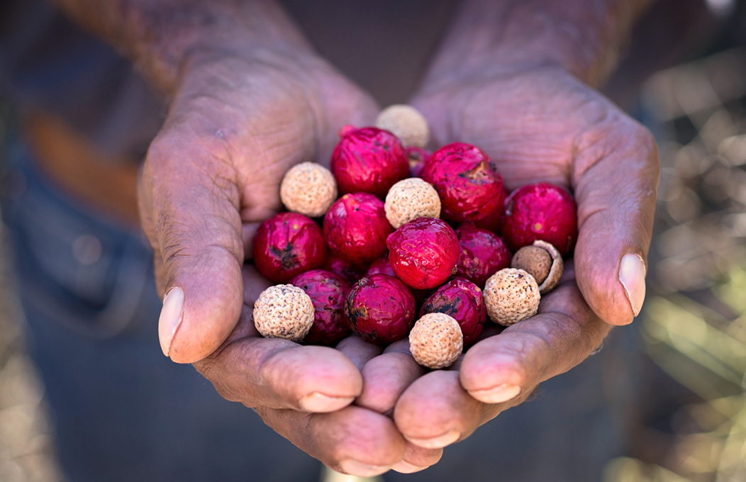Die Top-11 aboriginal Sehenswürdigkeiten und Erlebnisse in Südaustralien