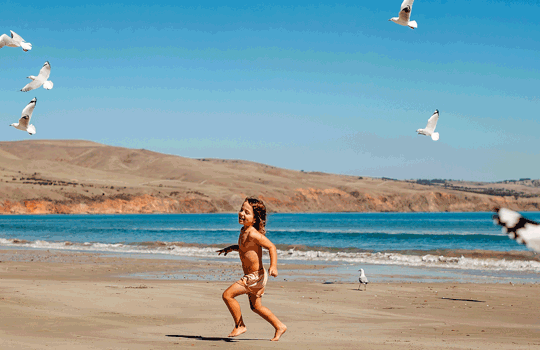 Familienfreundlicher Urlaub in Südaustralien