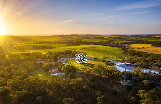 Nachhaltige Weingüter in Südaustralien
