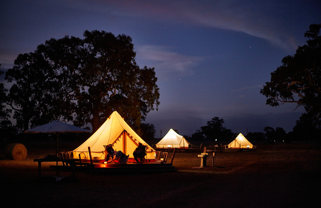 Bellwether Wines, Limestone Coast