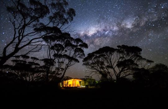 Reiseangebot Kangaroo Island & Outback