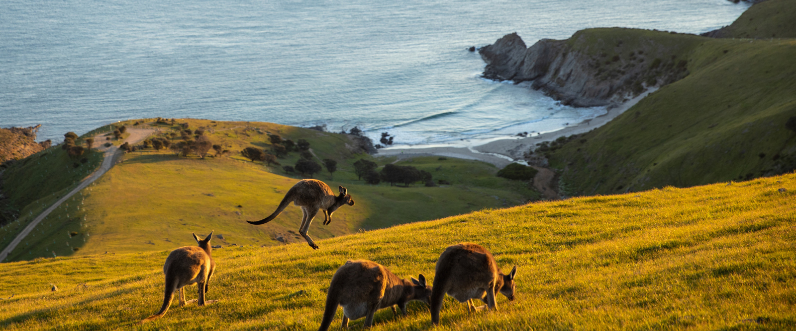 Die besten Nationalparks in Südaustralien