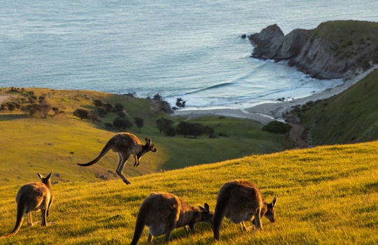 Die besten Nationalparks in Südaustralien