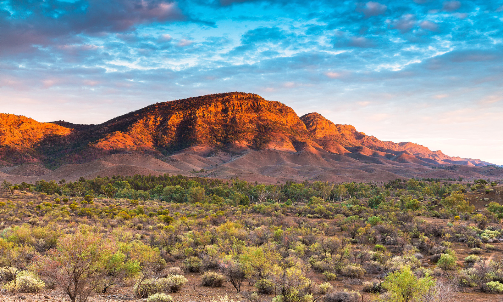 Mount Chambers, Flinders Ranges & Outback